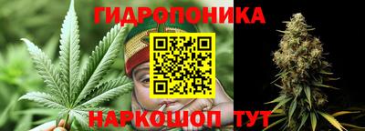 крисы Краснокаменск