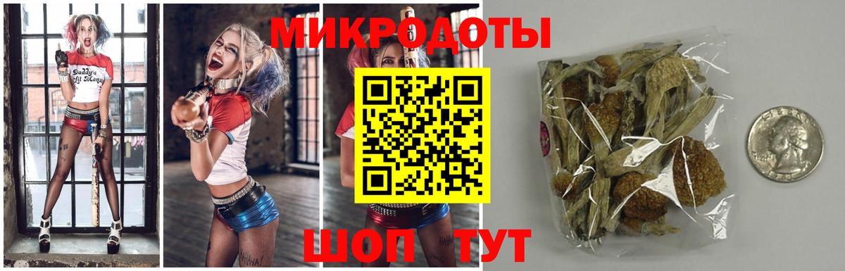 Вязьма  Псилоцибиновые грибы мухоморы  где купить наркоту  Псилоцибиновые грибы Cubensis  Вход с VPN 